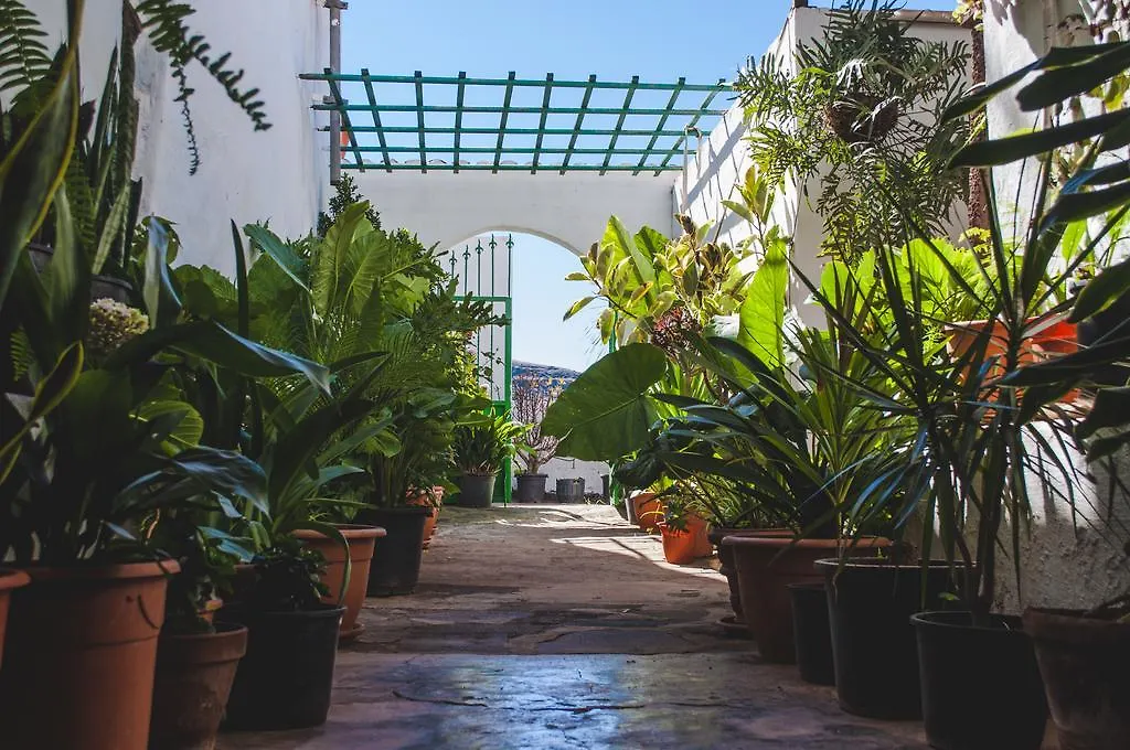 Casa Lola Hotel San Pedro  0*, San Pedro (Gran Canaria)